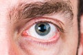 Detail of big green-blue-gray eye of man with thick brown eyebrow and few grey hair and photographer reflection in pupil