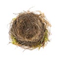 Detail of blackbird nest isolated Royalty Free Stock Photo