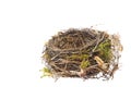 Detail of blackbird nest isolated