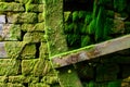 Detail of blade on water wheel for watermill with stones and covered in green moss