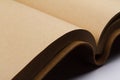 Detail of blank pages of a leather covered book Royalty Free Stock Photo