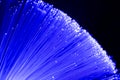 Detail of blue growing bunch of optical fibers background, fast Royalty Free Stock Photo