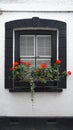 window with flowers, geranium, Fowey, Cornwall, United Kingdom