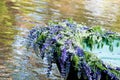 Detail of boat, decoration flowers, lupine. Outdoor