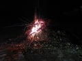 Detail of bonfire sparks on black background