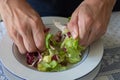 Detail of a Boy's Hands Ripping Salad Leaves into Smaller Pieces in a Plate