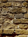 A detail of a brick wall in sepia.