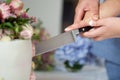 Detail of bride and groom cutting wedding cake after getting married Royalty Free Stock Photo