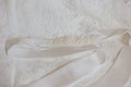 Detail of brides& x27; wedding dress and her belt Royalty Free Stock Photo