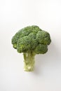 Detail of brocoli on white background