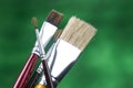 detail of brush bristles on cork background Royalty Free Stock Photo