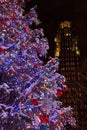 Detail of bryant park`s Christmas tree Royalty Free Stock Photo