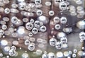 Detail of bubbles in soda water in glass Royalty Free Stock Photo