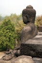 Borobudur jungle Royalty Free Stock Photo