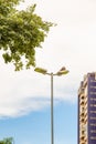 Detail of building and street lamp. Royalty Free Stock Photo