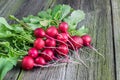 Detail on a Bunch of Radishes on a Old Wooden Board Royalty Free Stock Photo