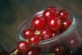 Detail bunch of red currants in a glass cup.