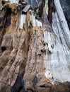 Detail Burned Redwood Bark in Brown Black White Beige with Peeling Layers