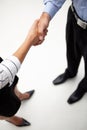 Detail businessman and woman shaking hands