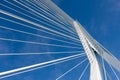 Detail of the cable stayed Erasmus bridge in Rotterdam, the Net