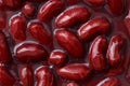 Detail of canned red kidney beans. Royalty Free Stock Photo