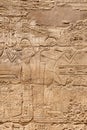 Detail of carved hieroglyphs on the Columns of the Karnak temple of Luxor, Egypt Royalty Free Stock Photo