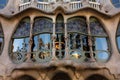 Detail Casa BatllÃÂ³