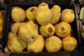 Quince apples