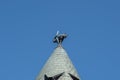 Detail of cat sculpture at Cat House - Art Nouveau architecture building in Riga - Riga, Latvia Royalty Free Stock Photo