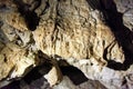 Detail of cave in Strandzha nature park in Bulgaria Royalty Free Stock Photo