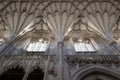 Detail of the ceiling at Winchester Cathedral, Hampshire, UK