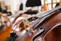 Detail Cello closeup Royalty Free Stock Photo