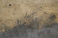 Cement wall grunge texture