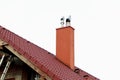 Detail of a chimney on a red classic saddle tile roof separated on a white background. Chimney with two steel pipes. Roof and