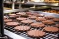 detail of chocolate biscuit in cookie cutter on production line