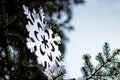 Detail Christmas decoration snowflake on the christmac tree.