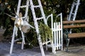 Detail Christmas pine tree with white sled and bench.