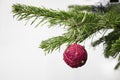 Detail of christmas fir tree with red bulb on white background. Royalty Free Stock Photo