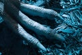 The detail of claws OF a prehistory lizard - dinosaur - RAPTOR IN THE Blue World.