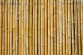 Detail and close up bamboo background in nature Royalty Free Stock Photo