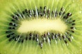 Macro juicy kiwi fruit center Royalty Free Stock Photo