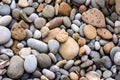 A detail close up macro photograph of smooth, rounded and colourful pebbles and seashells