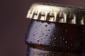 Detail of closed cold beer bottle Royalty Free Stock Photo