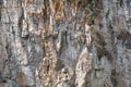 Detail closeup of a mountain rock wall, background or wallpaper of natural stone texture Royalty Free Stock Photo