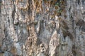 Detail closeup of a mountain rock wall, background or wallpaper of natural stone texture