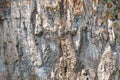 Detail closeup of a mountain rock wall, background or wallpaper of natural stone texture Royalty Free Stock Photo