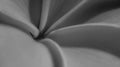 Detail closeup of Plumeria flower petal. monochrome Royalty Free Stock Photo