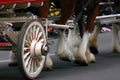 Detail, Clydesdale horses pulling wagon Royalty Free Stock Photo