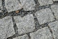 Detail of cobble street texture Royalty Free Stock Photo