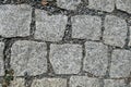 Detail of cobble street texture Royalty Free Stock Photo